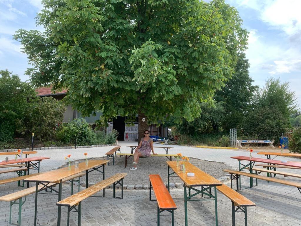 Reitschule Kronwitter Mainbernheim Екстер'єр фото