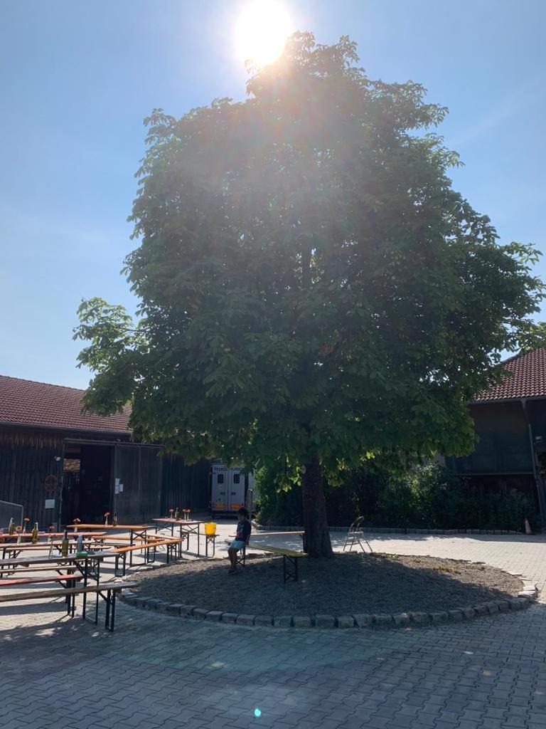 Reitschule Kronwitter Mainbernheim Екстер'єр фото